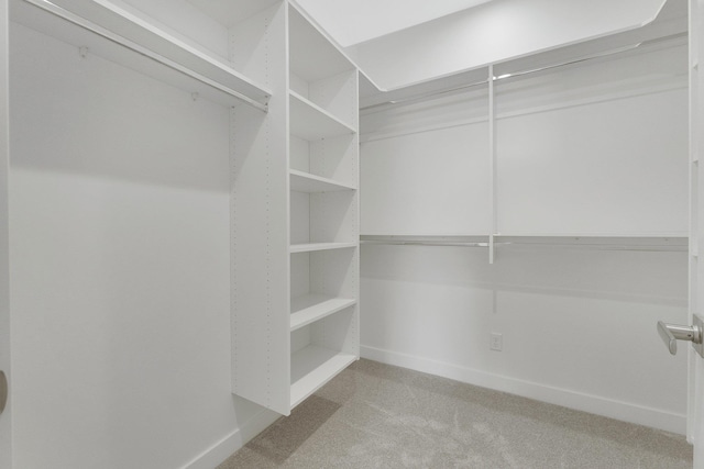 spacious closet with light colored carpet