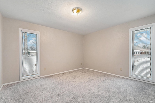 spare room featuring plenty of natural light, carpet floors, and a textured ceiling