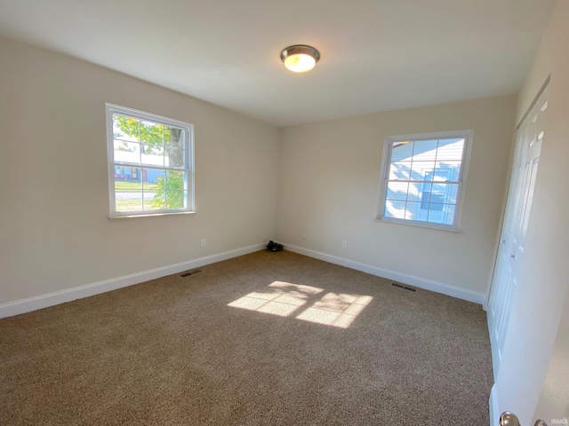 carpeted spare room featuring a wealth of natural light