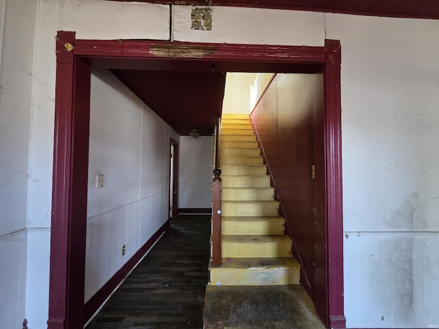 staircase featuring wood-type flooring