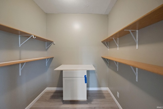 spacious closet with hardwood / wood-style flooring