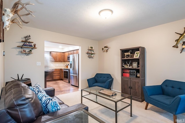 living room featuring a textured ceiling and light hardwood / wood-style floors