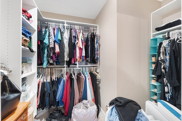 view of spacious closet