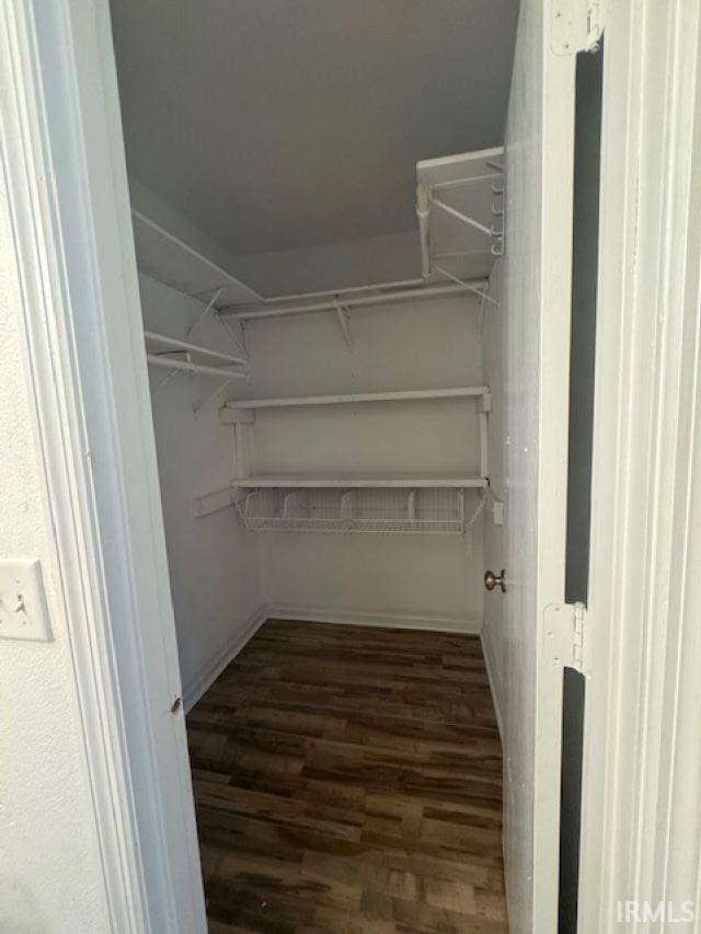 spacious closet with dark hardwood / wood-style flooring