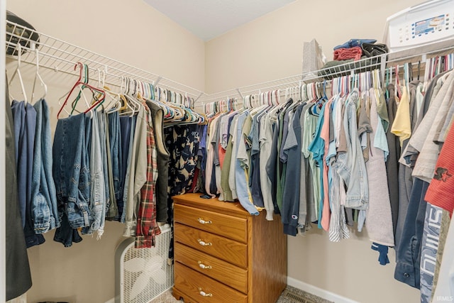 spacious closet with carpet