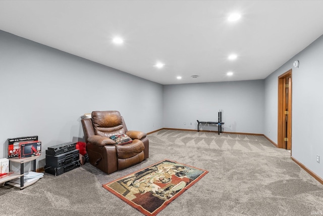 living area with carpet floors