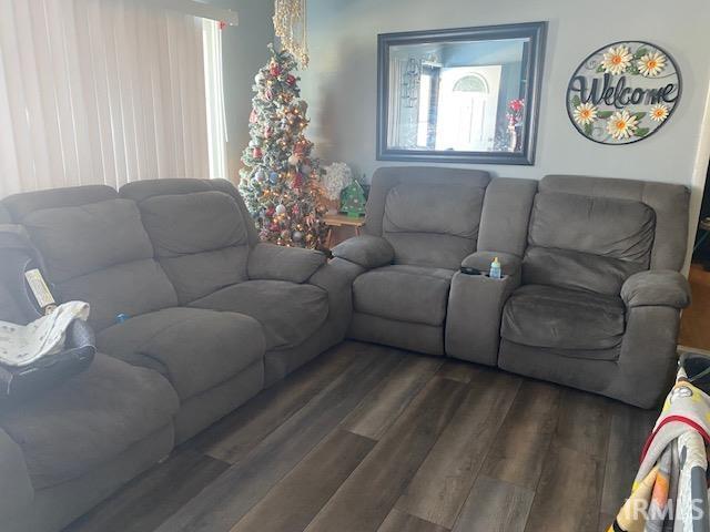 living room featuring dark hardwood / wood-style flooring