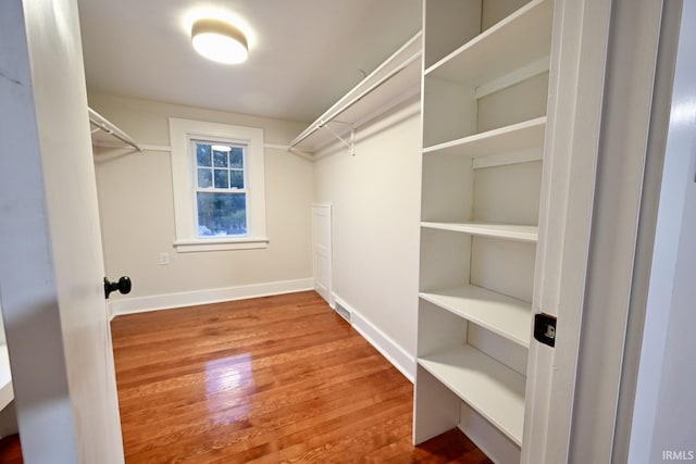 spacious closet featuring wood-type flooring