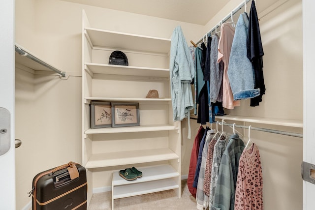 spacious closet with light carpet