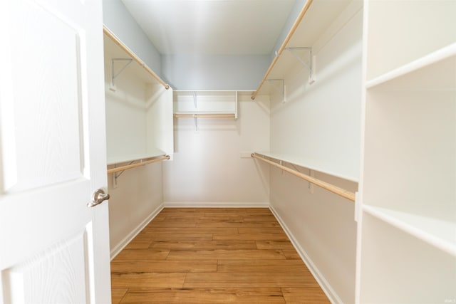 spacious closet featuring light hardwood / wood-style floors