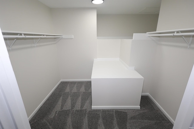 walk in closet with dark colored carpet