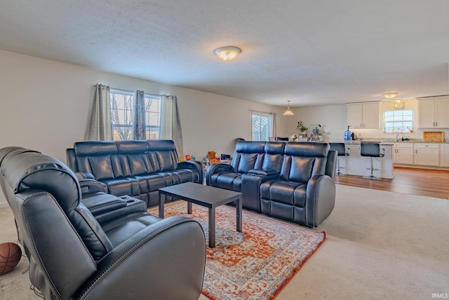 carpeted living room featuring a wealth of natural light and a textured ceiling