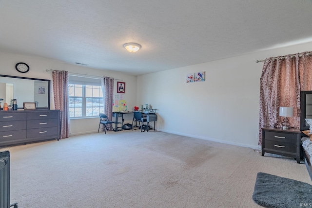 miscellaneous room featuring light carpet and a textured ceiling