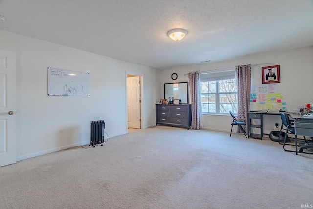 miscellaneous room featuring carpet and a textured ceiling