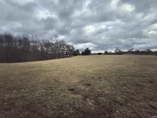 view of yard with a rural view