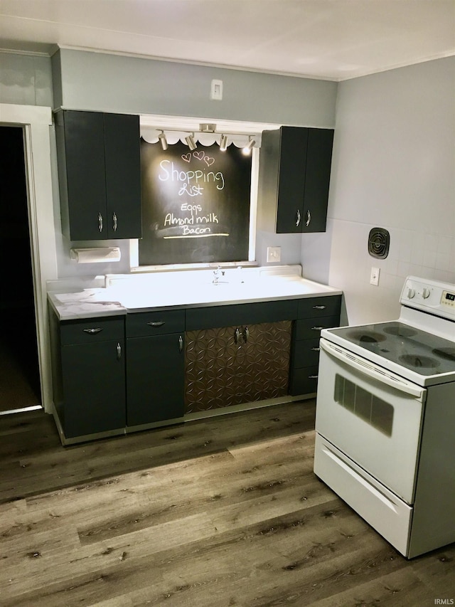 kitchen with sink, white electric stove, and dark hardwood / wood-style floors