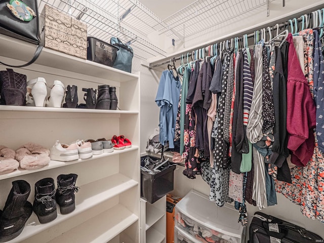 view of spacious closet