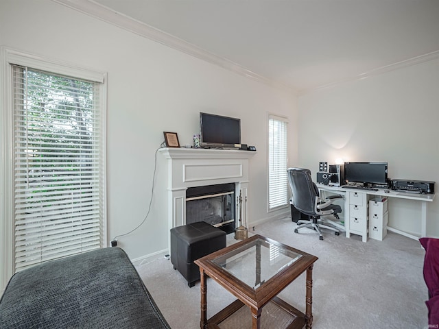 carpeted home office featuring ornamental molding