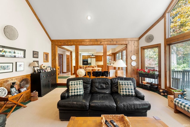 living room featuring ornamental molding, carpet floors, and high vaulted ceiling