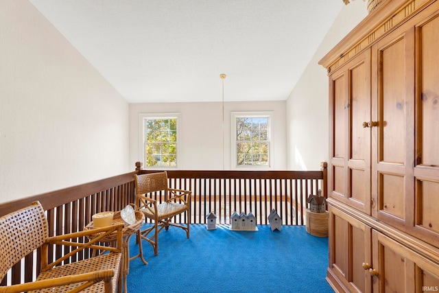 sitting room with dark colored carpet