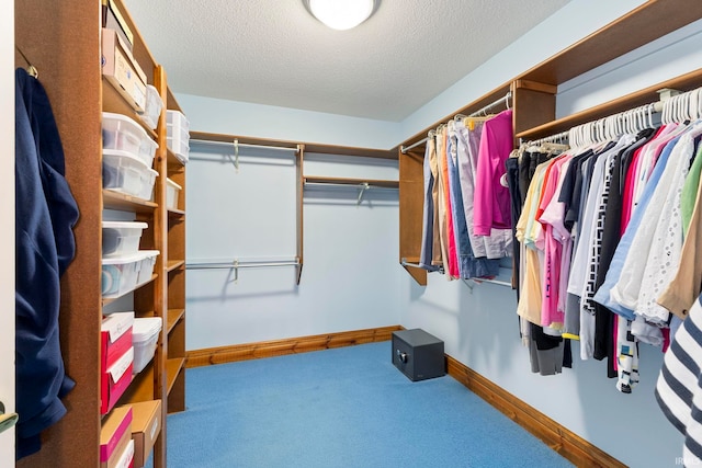 walk in closet featuring carpet