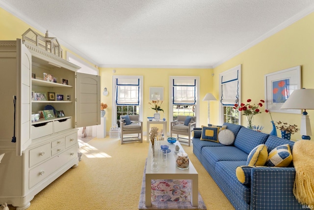 living room with crown molding, light carpet, and a textured ceiling