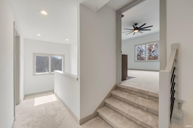 stairway featuring carpet and ceiling fan