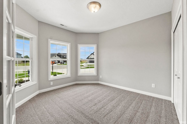 spare room with carpet and a wealth of natural light