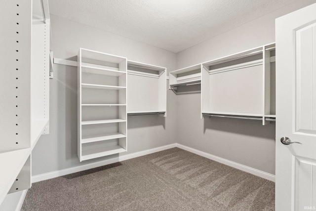 spacious closet featuring dark carpet