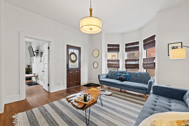 living room featuring hardwood / wood-style floors