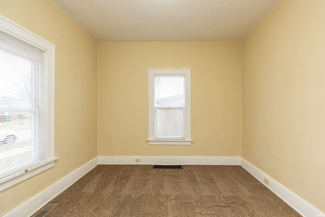 carpeted spare room with a wealth of natural light