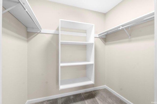 spacious closet with carpet flooring