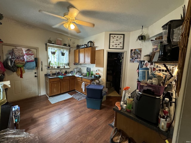 kitchen with ceiling fan, dark hardwood / wood-style flooring, sink, and a textured ceiling