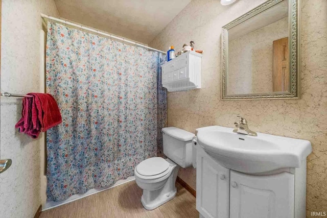 bathroom with vanity, wood-type flooring, and toilet