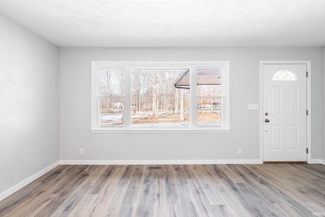 entryway with light hardwood / wood-style floors and a wealth of natural light