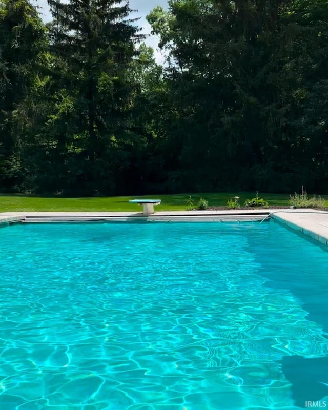 view of swimming pool featuring a yard and a diving board