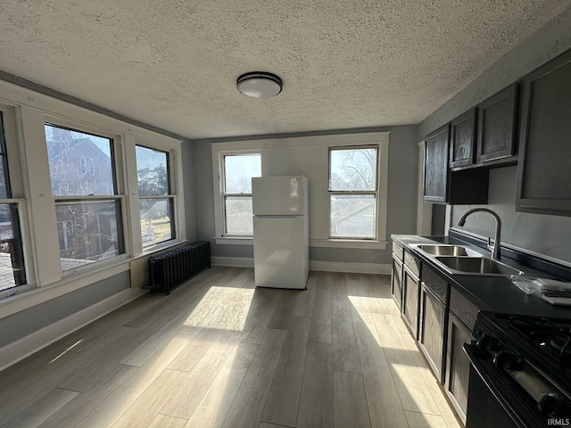 kitchen featuring sink, radiator heating unit, black gas stove, white fridge, and light hardwood / wood-style floors