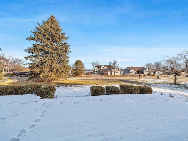 view of yard layered in snow