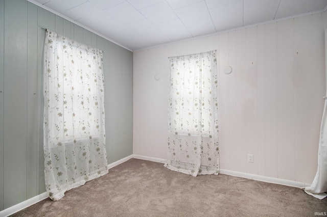 spare room featuring crown molding and carpet flooring