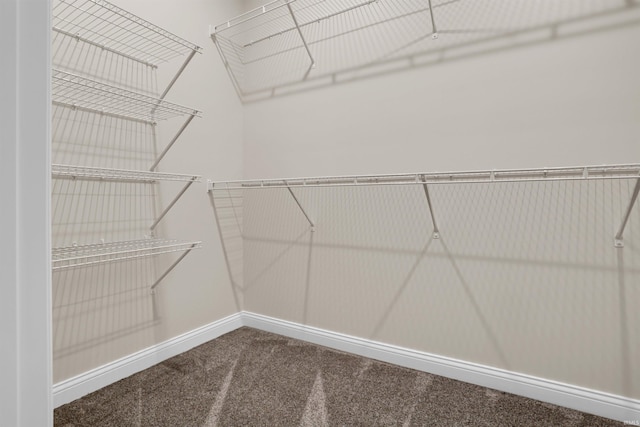 spacious closet with carpet flooring