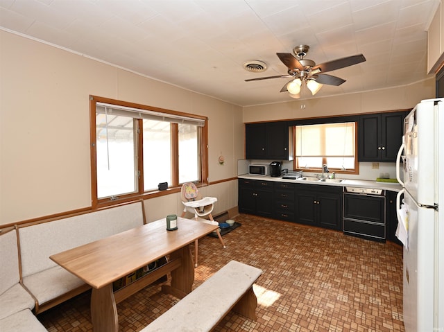 kitchen featuring a healthy amount of sunlight, sink, dishwasher, and white fridge