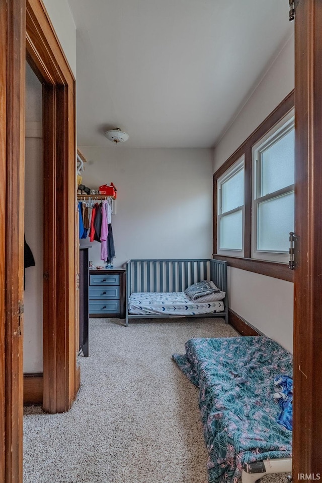 bedroom with carpet