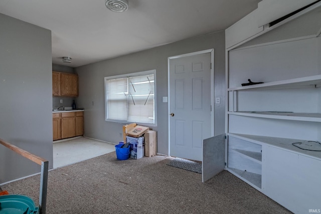 interior space featuring sink and light colored carpet