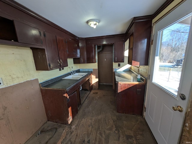 kitchen with sink, dark wood-type flooring, and dark brown cabinetry