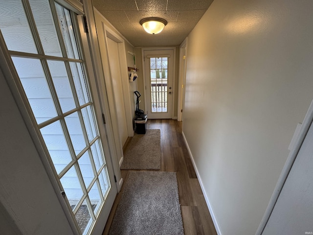 doorway to outside with dark hardwood / wood-style floors