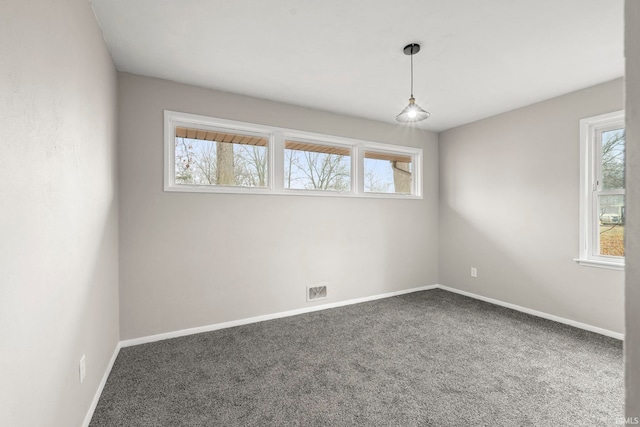 spare room featuring carpet floors