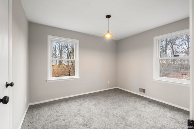 unfurnished room with carpet flooring