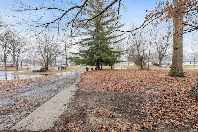 view of street with a water view