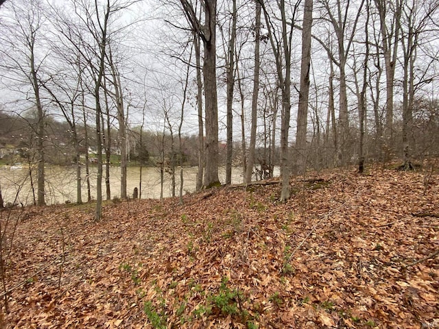 Listing photo 2 for 34LOT Locust Lake E Dr, Spencer IN 47460