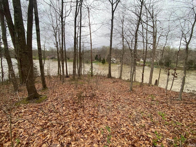 Listing photo 3 for 34LOT Locust Lake E Dr, Spencer IN 47460